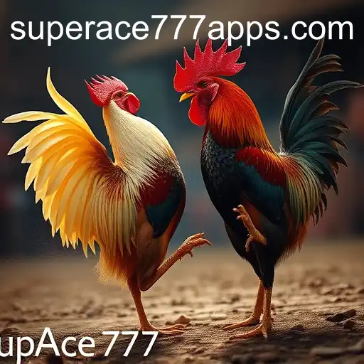 The Fascinating World of Sabong Games: Exploring SuperAce777
